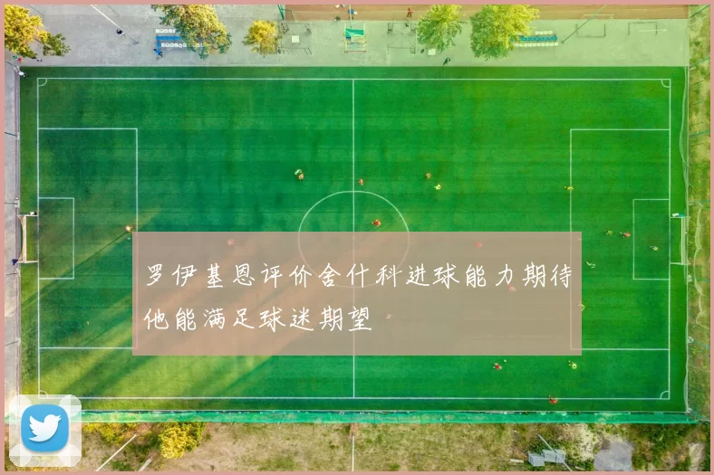 罗伊基恩评价舍什科进球能力期待他能满足球迷期望
